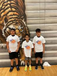 Image result for Surrey Spitfires Basketball Club
