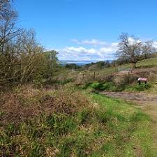 Image result for Lanarkshire and Lothian Soaring Club