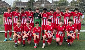 Image result for Redhill Juniors FC