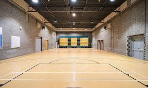 Image result for Crystal Palace Netball Club