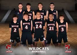 Image result for Kingston Wildcats Basketball Club