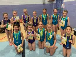 Image result for Gymmagic