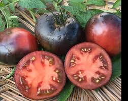Afbeeldingsresultaat voor debarro black tomato
