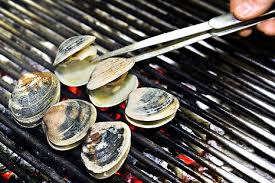 Image result for Clams