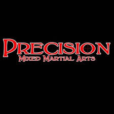 Image result for Precision Martial Arts