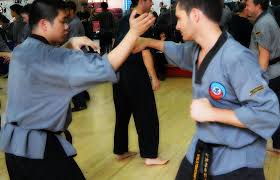 Image result for Shaolin Nam Pai Chuan Kung Fu - Manchester Martial Arts Centre