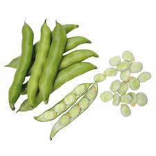 Image result for Dicke Bohnen