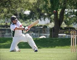 Image result for Bat Sports Cricket Club