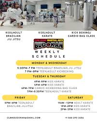 Image result for Blackpool Budokan Martial Arts