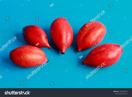 Attēlu rezultāti vaicājumam “Podophyllum hexandrum fruit”