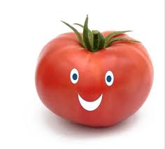 Image result for Tomate