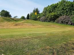 Image result for Sunnybank Social Club