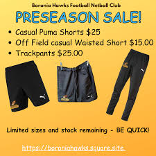 Image result for Pumas Netball Club