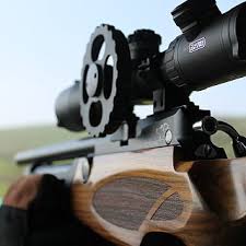 Image result for Bristol Invicta Rifle Club
