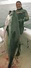 big eye tuna spearfishing record, IBSRC