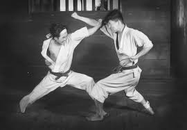 Image result for ZOKU SHOTOKAN KARATE (Baldock)