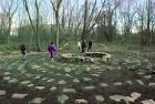 Urban Habitats -- A Historical Perspective on the Urban Wetlands ...