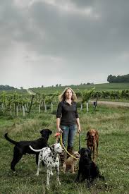 Image result for Old Dorkinians