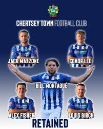 Image result for Chertsey Albion Fc