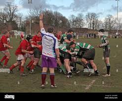 Image result for Lymm Rugby Union Football Club