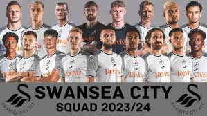 Image result for Swansea Rounders Team
