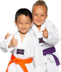 Image result for New Milton Taekwondo Club