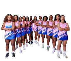 Image result for Brampton Royal Oak Netball Team
