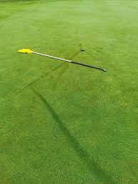 Image result for Romanby Golf Course