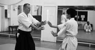 Image result for Goryukai Aikido Yoshinkan (Chichester)