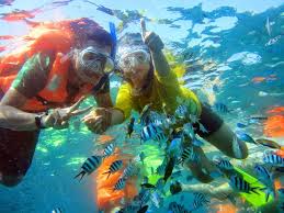 Image result for Kingston & Elmbridge Junior Snorkelling Club