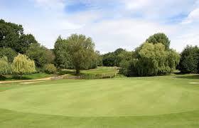 Image result for Downshire Golf Complex