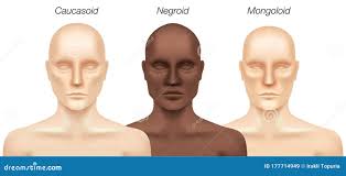 Image result for fotos de raças de pessoas