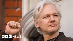 Image result for assange