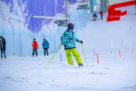 Image result for British Ski Club For The Disabled