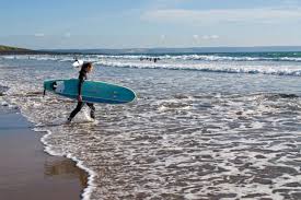 Image result for Croyde Surf Club