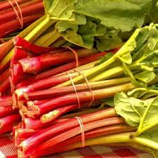 Attēlu rezultāti vaicājumam “Rheum rhabarbarum leaf”