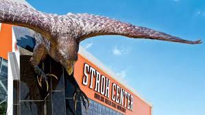 Image result for Falcons Badminton Club