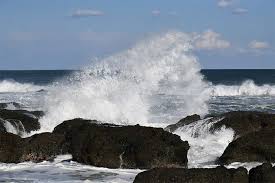 Image result for 高潮 津波 別物