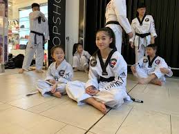 Image result for Kees Tae Kwon Do
