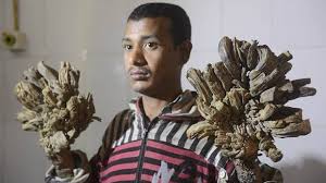 Image result for Lewandowsky-Lutz