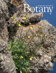 Attēlu rezultāti vaicājumam “Atrichum flavisetum sporophyte”