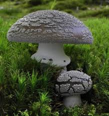 Attēlu rezultāti vaicājumam “Amanita excelsa”