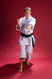 Image result for Action Karate