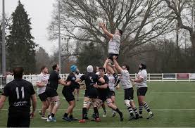 Image result for Harpenden Rugby Club