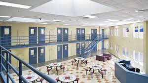 Attēlu rezultāti vaicājumam “juvenile”