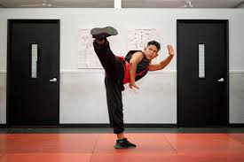 Image result for kung fu
