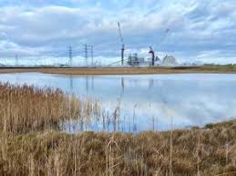 Image result for Northwich Predators