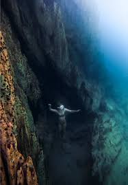 Image result for Dive Barracuda