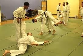 Image result for Tora-Kai Judo