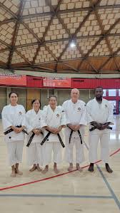 Image result for Tolworth Shorinji Kempo Branch